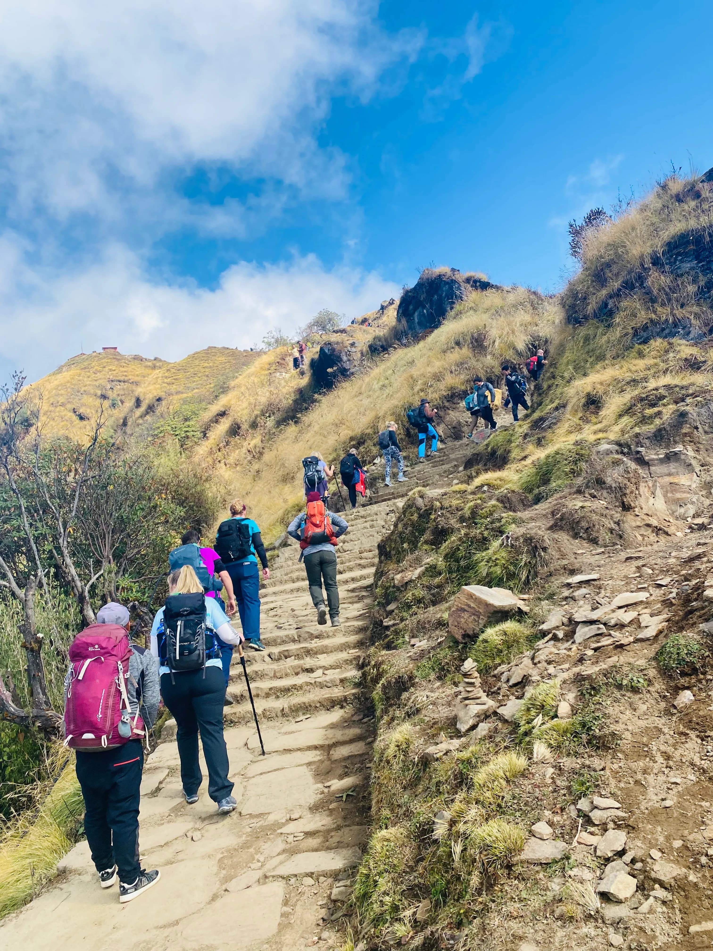 Trekkers climbing a mountain trail